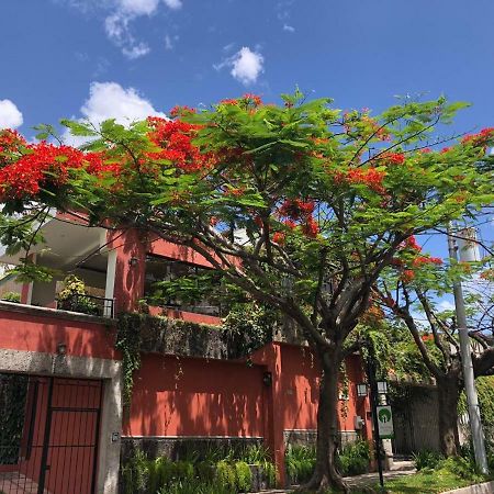 Hotel Arbol De Fuego サンサルバドル エクステリア 写真