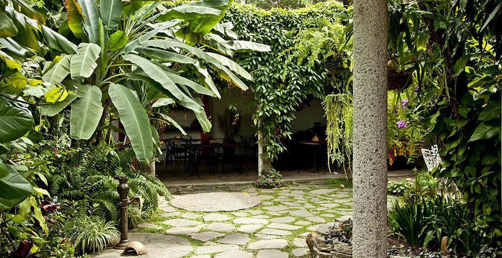 Hotel Arbol De Fuego サンサルバドル エクステリア 写真