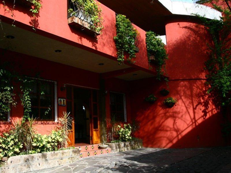 Hotel Arbol De Fuego サンサルバドル エクステリア 写真