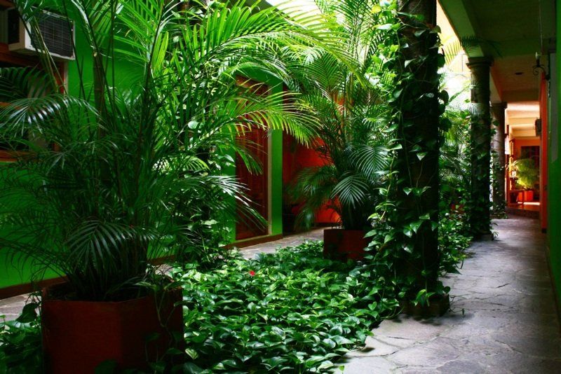 Hotel Arbol De Fuego サンサルバドル エクステリア 写真
