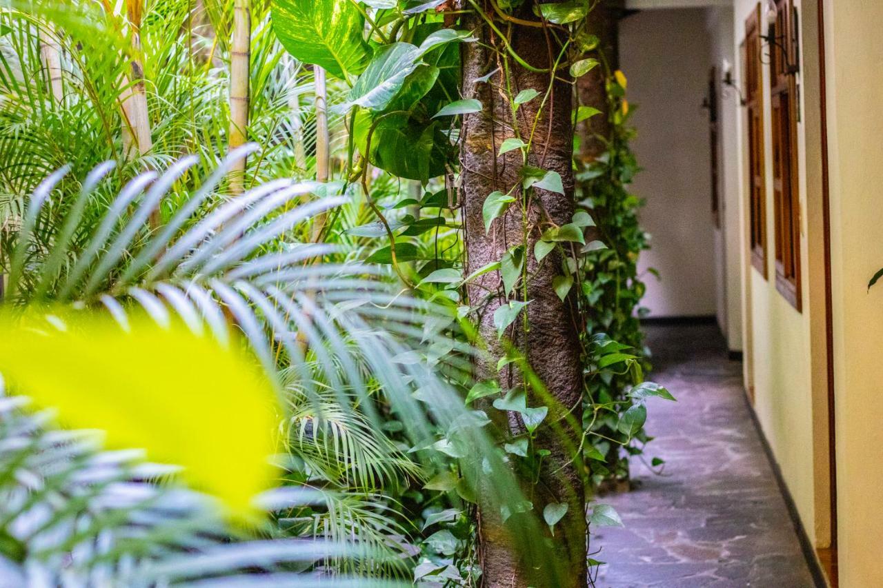 Hotel Arbol De Fuego サンサルバドル エクステリア 写真