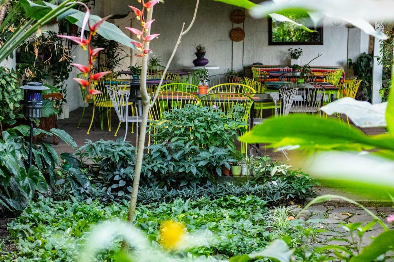 Hotel Arbol De Fuego サンサルバドル エクステリア 写真