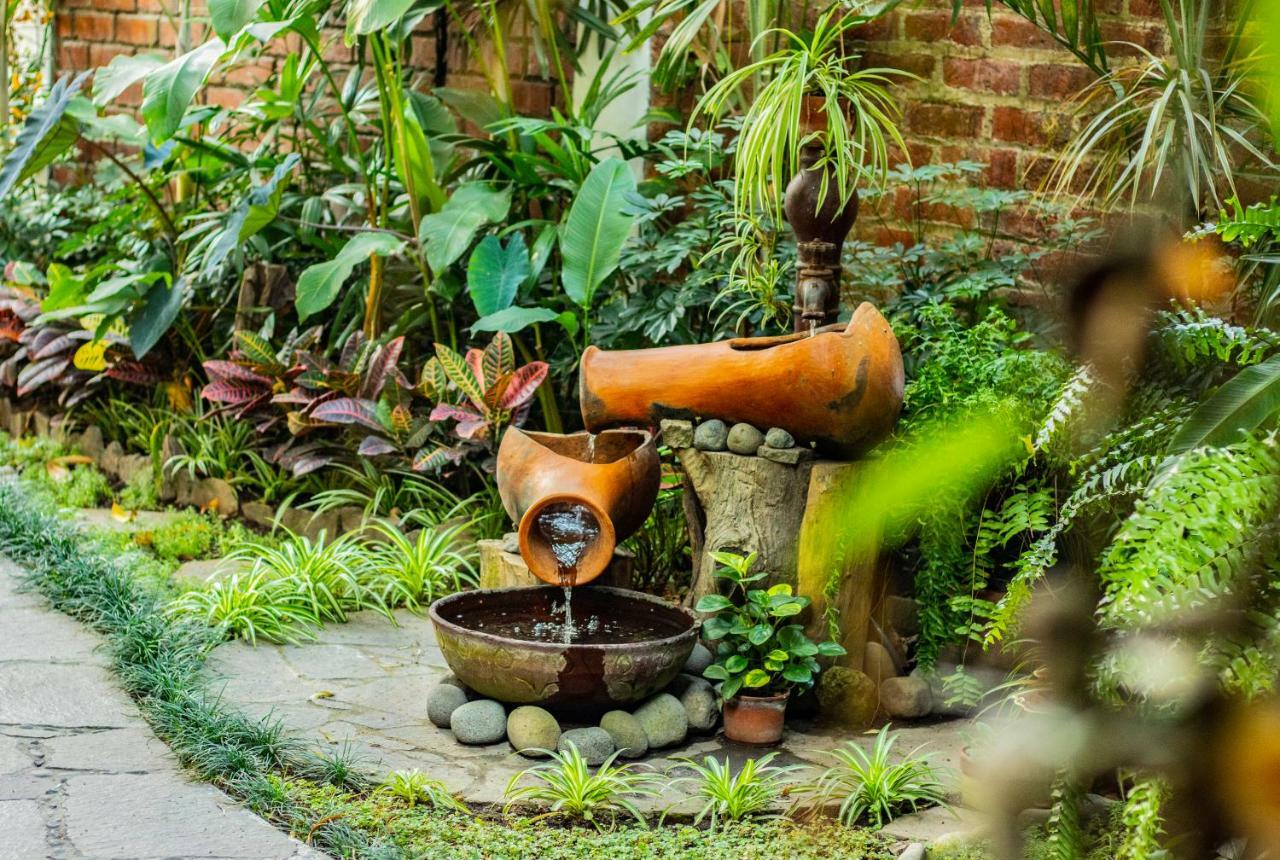 Hotel Arbol De Fuego サンサルバドル エクステリア 写真
