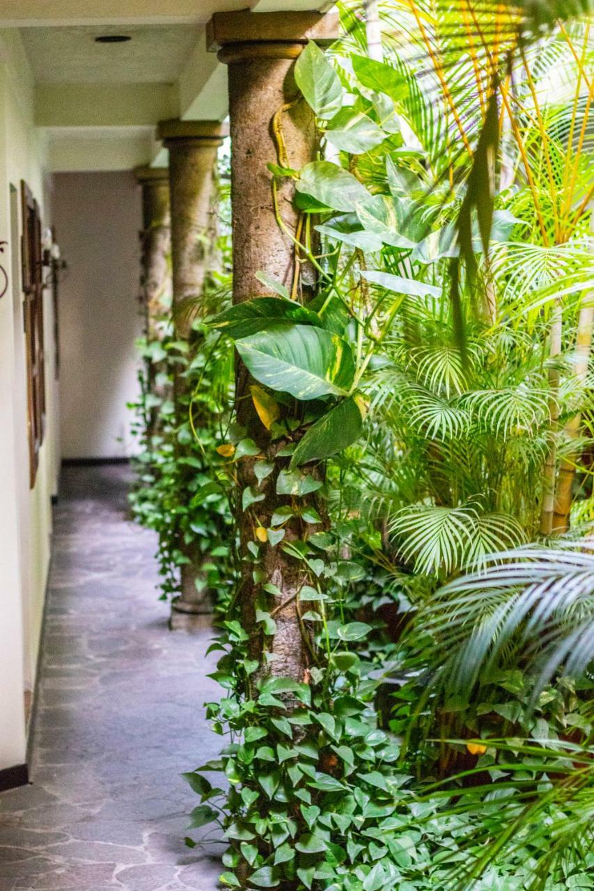 Hotel Arbol De Fuego サンサルバドル エクステリア 写真