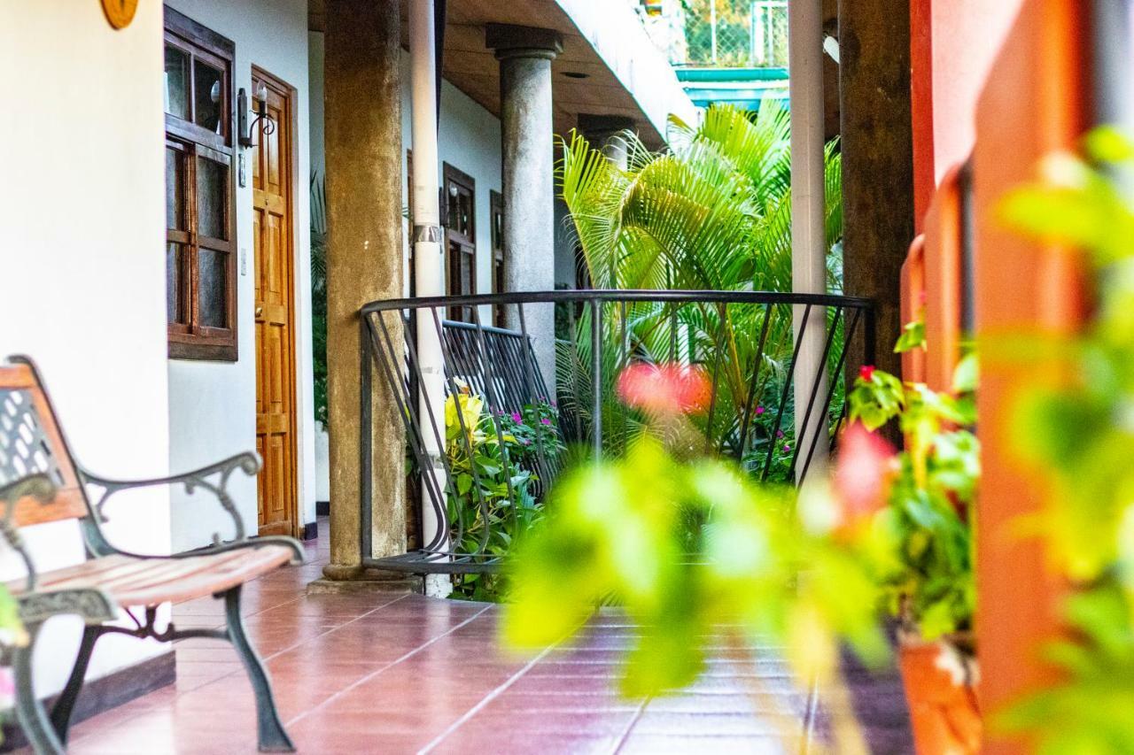 Hotel Arbol De Fuego サンサルバドル エクステリア 写真