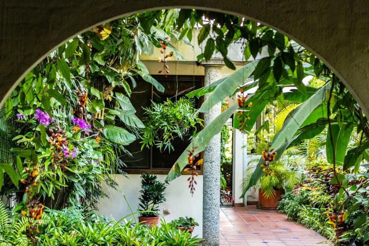 Hotel Arbol De Fuego サンサルバドル エクステリア 写真