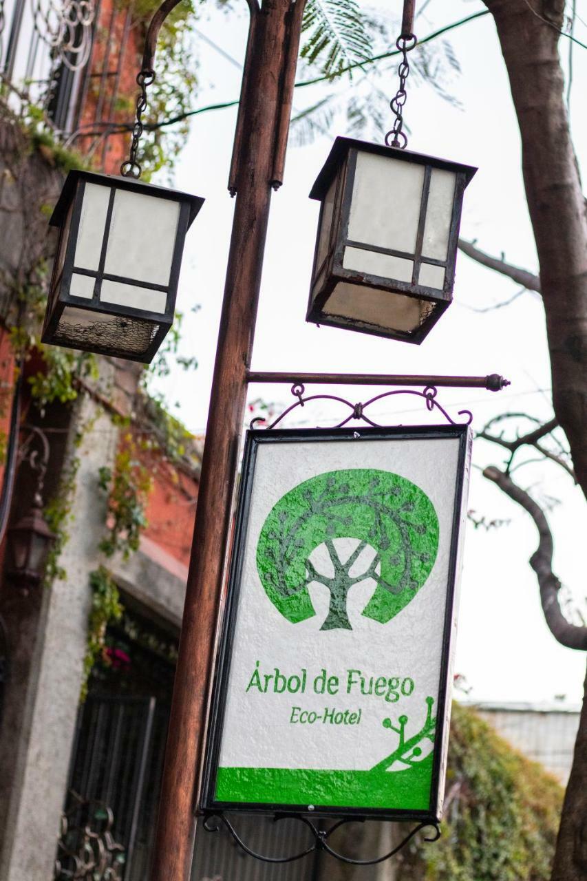 Hotel Arbol De Fuego サンサルバドル エクステリア 写真