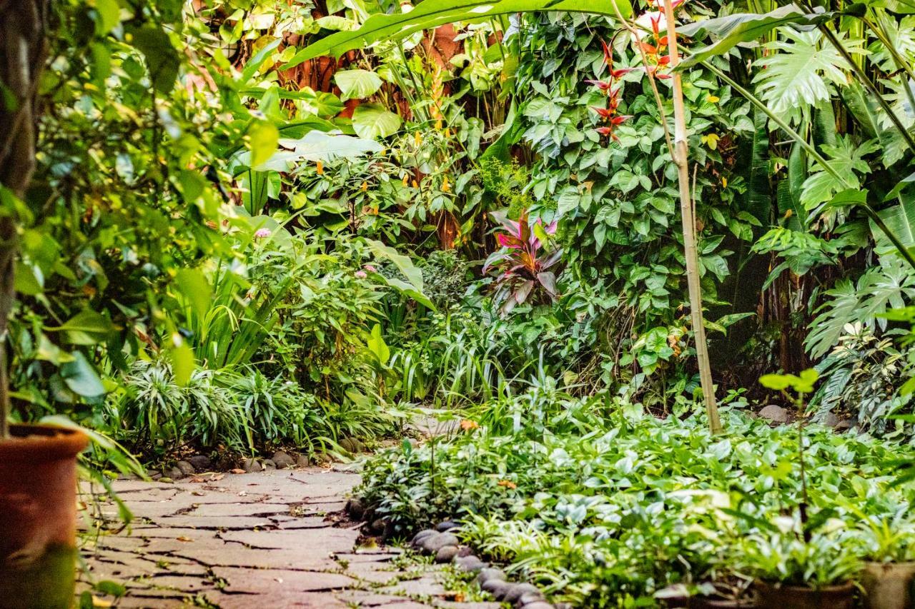 Hotel Arbol De Fuego サンサルバドル エクステリア 写真