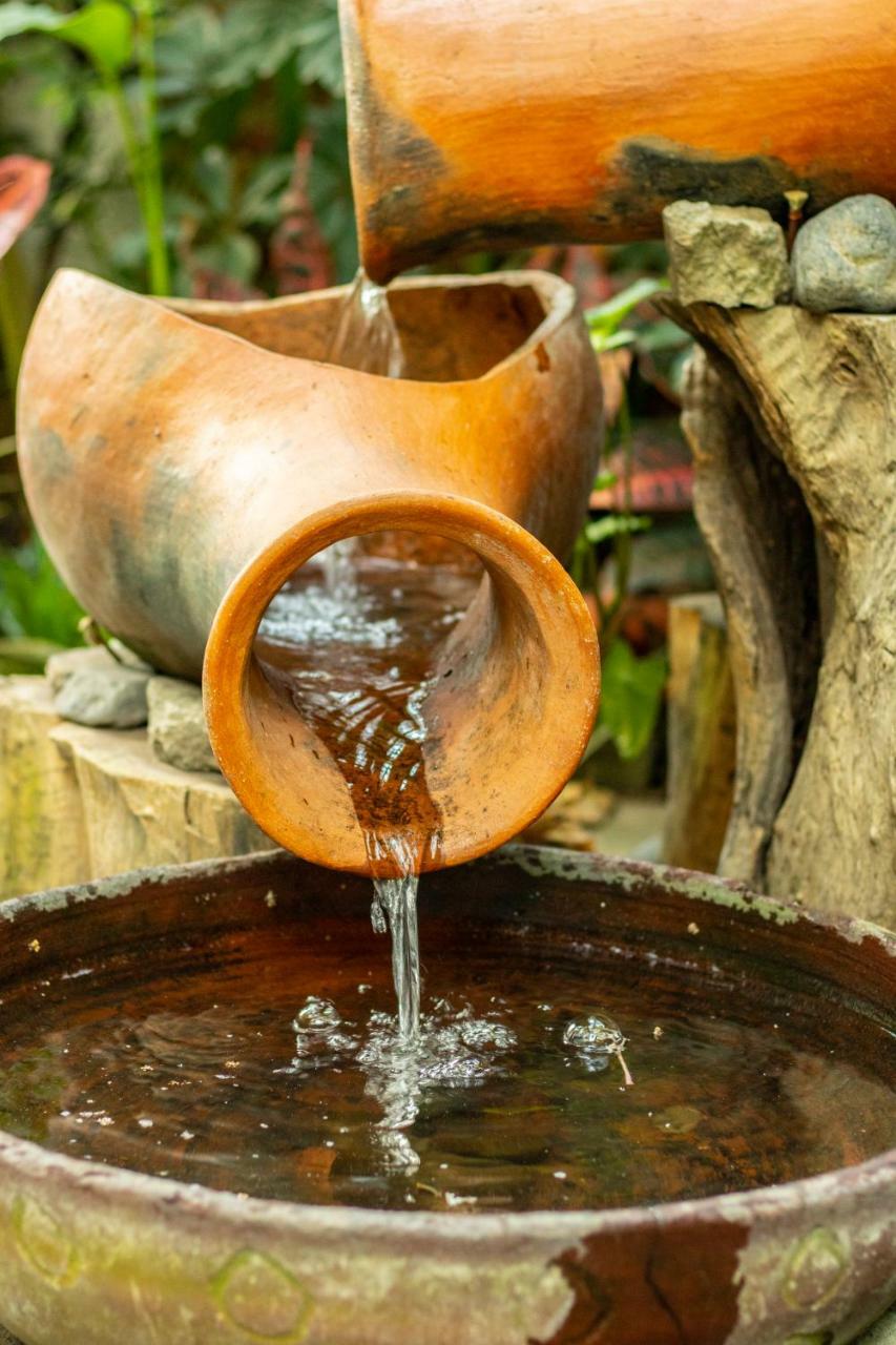 Hotel Arbol De Fuego サンサルバドル エクステリア 写真