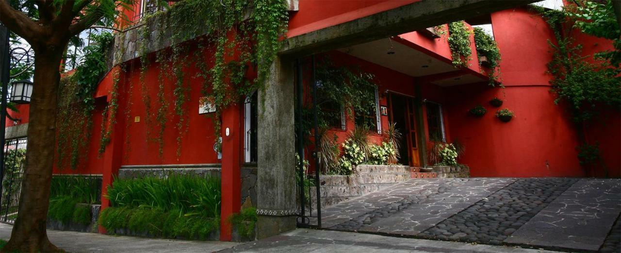 Hotel Arbol De Fuego サンサルバドル エクステリア 写真