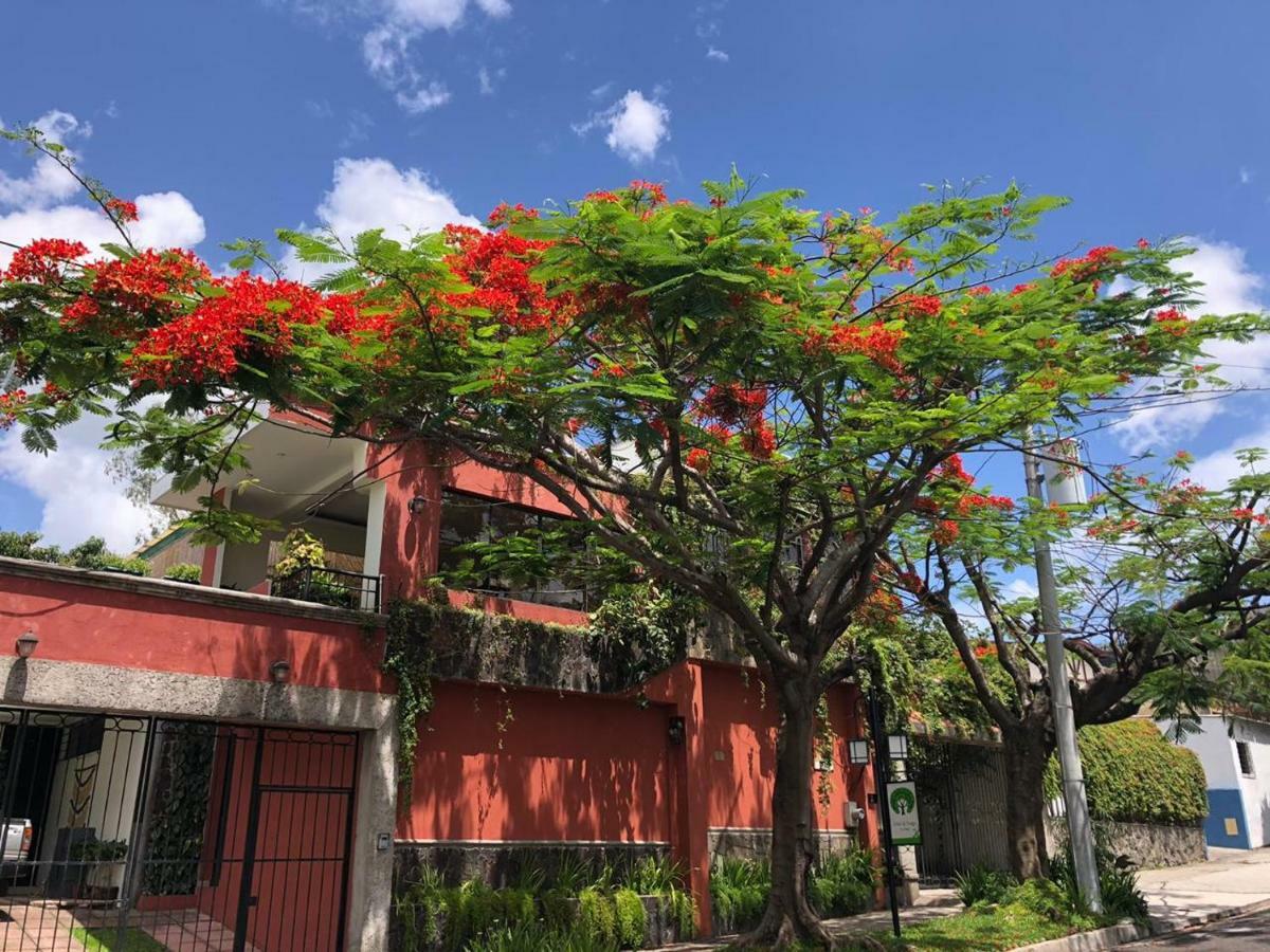 Hotel Arbol De Fuego サンサルバドル エクステリア 写真